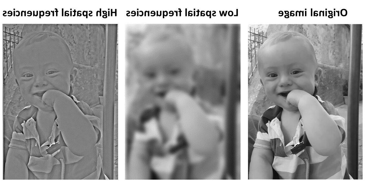 三张相同视角的婴儿照片. 第一个标签是ORIGINAL IMAGE，看起来很清晰. 第二个被标记为低空间频率并被模糊. 第三是标签高空间频率，是尖锐的，但非常灰色和低对比度. 